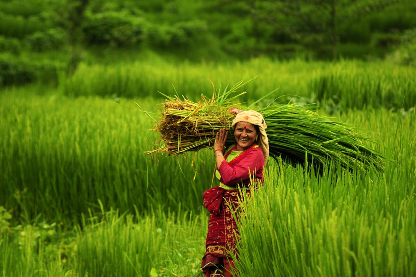 Agriculture